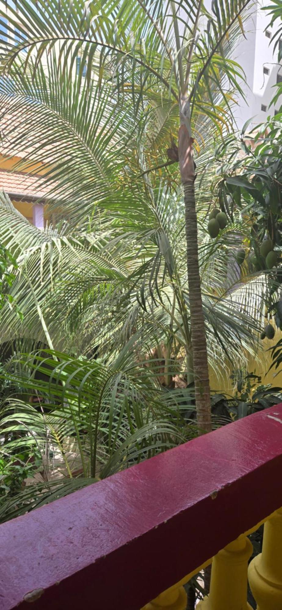 Saint-louis Sun Hotel Dakar